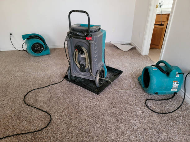 Best Mold removal after water damage  in Midtown, TN