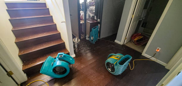 Best Water damage restoration near me  in Midtown, TN