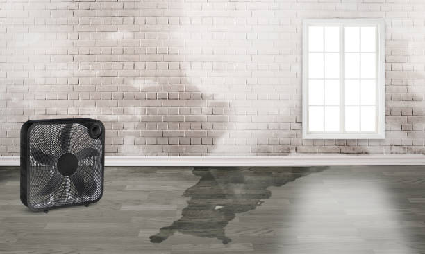 Best Residential water damage restoration  in Midtown, TN