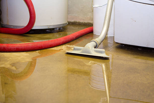 Best Flood damage cleanup  in Midtown, TN