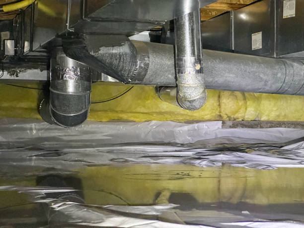Best Water damage contractors near me  in Midtown, TN