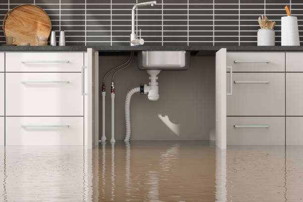 Best Carpet water damage restoration  in Midtown, TN