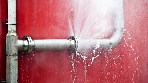 Best Professional water damage repair  in Midtown, TN